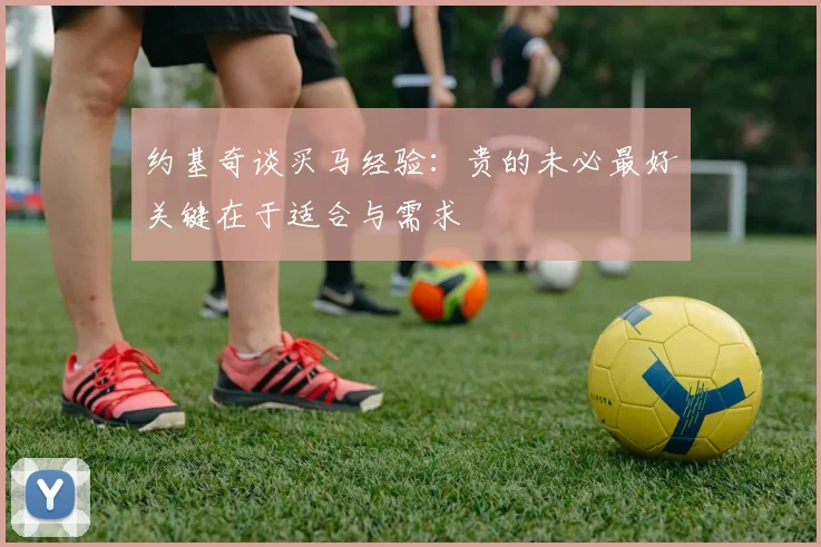 约基奇谈买马经验：贵的未必最好关键在于适合与需求