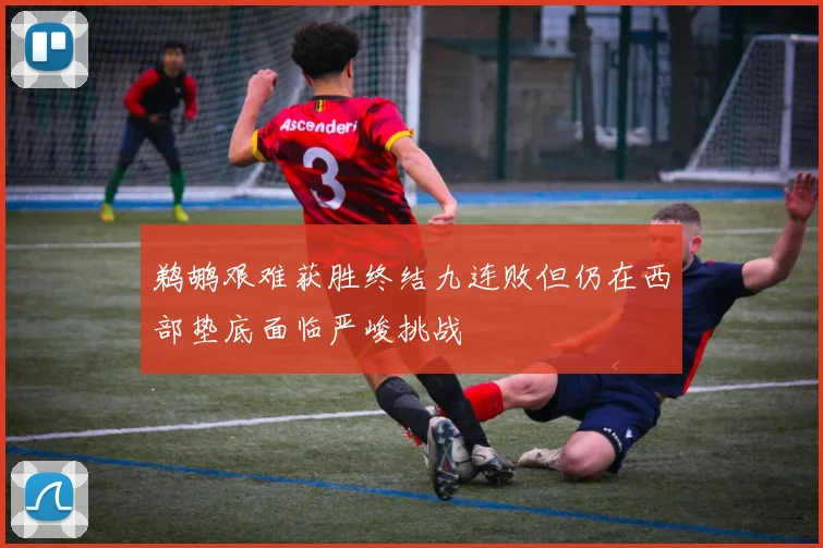 鹈鹕艰难获胜终结九连败但仍在西部垫底面临严峻挑战