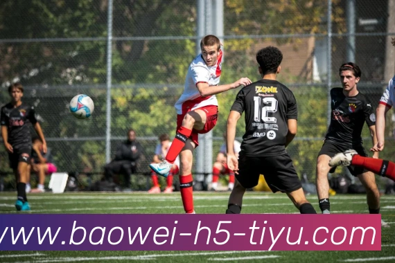 App Interface Preview