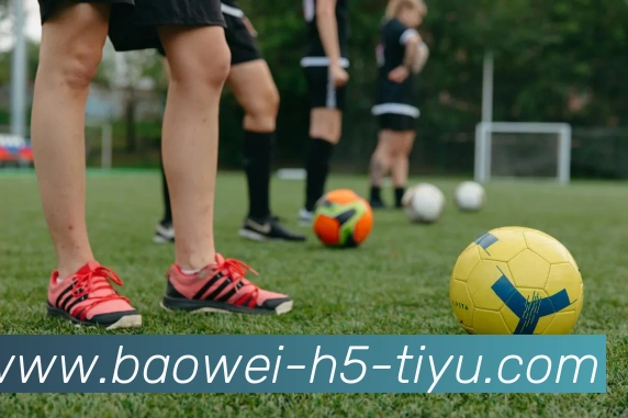 宝威体育APP 封面图